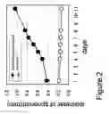 Fig. 03 - Oncogene HOXB13 and its siRNAs