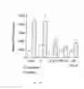 Fig. 06 - Gab2 (p97) gene and methods of use thereof