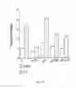 Fig. 08 - Gab2 (p97) gene and methods of use thereof