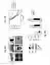 Fig. 35 - Gab2 (p97) gene and methods of use thereof