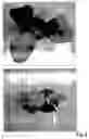 Fig. 07 - Viability
