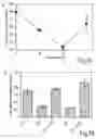 Fig. 08 - Viability