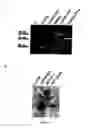 Fig. 09 - Recombinant carrier molecule for expression, delivery and purification of target polypeptides