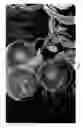Fig. 02 - Peach tree named 
