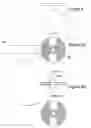 Fig. 12 - ROTARY ENGINES