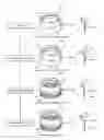 Fig. 01 - Method and apparatus for manufacturing tonewheel for vehicles