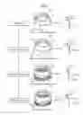 Fig. 04 - Method and apparatus for manufacturing tonewheel for vehicles