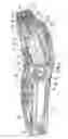 Fig. 01 - Hair cutting device