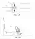 Fig. 08 - Training shoe with swivel attachment points and method of use