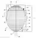 Fig. 01 - Egg-shaped live bait well system