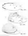 Fig. 09 - Gift wrapping package and method of use