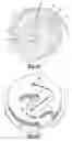 Fig. 03 - Indentation to optimize vapor injection through ports extending through scroll wrap