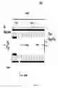 Fig. 09 - System, apparatus and method for detecting unknown chemical compounds
