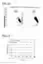 Fig. 07 - Method of predicting damage of dies