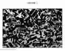 Fig. 03 - Advanced erosion-corrosion resistant boride cermets