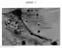 Fig. 06 - Advanced erosion-corrosion resistant boride cermets