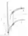 Fig. 17 - Conveyance apparatus using movable body