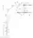 Fig. 23 - Conveyance apparatus using movable body