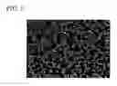 Fig. 06 - Surface-finishing agent and finished material and method of surface finishing