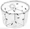 Fig. 01 - INSECT CONTAINER