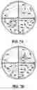 Fig. 06 - INSECT CONTAINER
