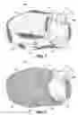 Fig. 02 - Animal sleeping bag
