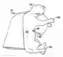 Fig. 01 - Post-surgical veterinary pillow and method for using same