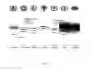 Fig. 15 - Method of evaluating human subconscious response to smell
