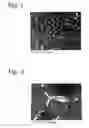 Fig. 03 - Forged piston
