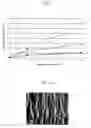 Fig. 03 - Electrolytically coated cold-rolled strip, preferably to be used for the production of battery shells, and method for coating the same