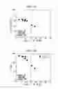 Fig. 02 - Hot rolled steel sheet