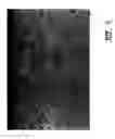 Fig. 06 - Iron alloy containing molybdenum