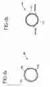 Fig. 04 - Stent-graft with bioabsorbable structural support