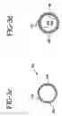 Fig. 05 - Stent-graft with bioabsorbable structural support