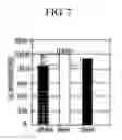 Fig. 09 - Heat exchanger for dryer and condensing type dryer using the same