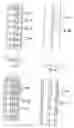Fig. 04 - Heat exchanger