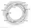 Fig. 01 - Centralizer for expandable tubulars