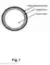 Fig. 02 - Optically encoded glass-coated microwire