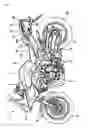 Fig. 02 - Motorcycle