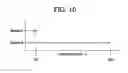 Fig. 07 - Electrochemical cell having protection against creep