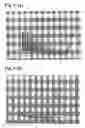 Fig. 07 - Electrophoretic member, electrophoretic device, electrophoretic method and sample dispensing probe