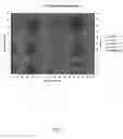 Fig. 04 - Separation and accumulation of subcellular components, and proteins derived therefrom