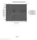 Fig. 05 - Separation and accumulation of subcellular components, and proteins derived therefrom