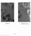 Fig. 07 - Separation and accumulation of subcellular components, and proteins derived therefrom