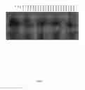 Fig. 10 - Separation and accumulation of subcellular components, and proteins derived therefrom