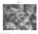 Fig. 07 - COPPER WELDING SOLID WIRE WITH GOOD ARC STABILITY
