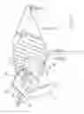 Fig. 11 - Shopping cart device