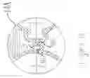 Fig. 07 - Tray mold