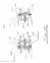 Fig. 08 - QUICK COUPLER FOR LIQUID FLOW LINES