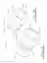 Fig. 11 - QUICK COUPLER FOR LIQUID FLOW LINES
